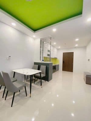 Cho thuê căn hộ Central Premium - 854 Tạ Quang Bửu, P5, Q8.