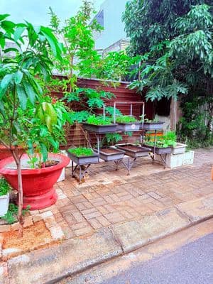 Bán đất Tùng Lâm 5 nam Cẩm Lệ Hoà Xuân Đà Nẵng giá rẻ