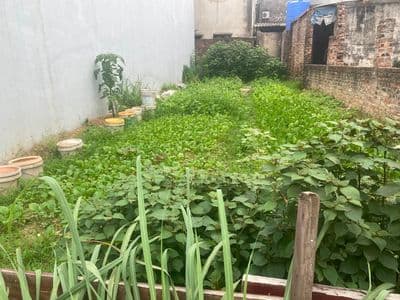 Bán đất 61m2 tại xã Nội Bài, gần sân bay Nội Bài