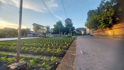 Bán đất thổ cư Vân Nội, Đông Anh, sổ đỏ chính chủ