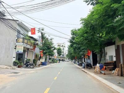 Bán đất 194m² đường Tân Hoà, Đông Hoà, TP.HCM