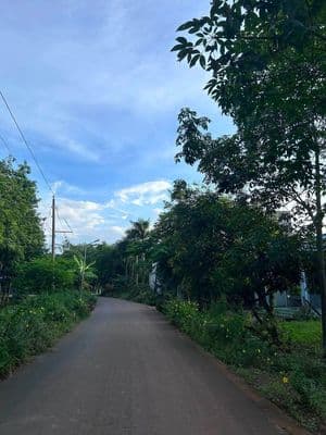 Bán đất mặt tiền đường nhựa 5x45m thổ cư 100m2 tại Dầu Tiếng