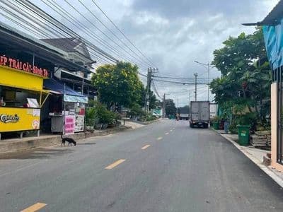 Bán đất mặt tiền Trương Văn Vĩnh, Tân Đông Hiệp