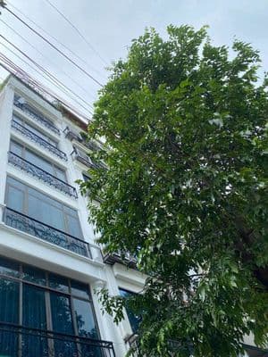 Cho thuê mặt bằng làm văn phòng Vạn Phúc - Hà Đông