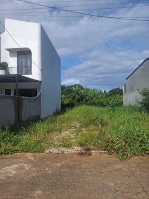 850 triệu, Đất thổ cư tại KDC Tân Phú Trung, Cây Da, 129m2, sổ riêng