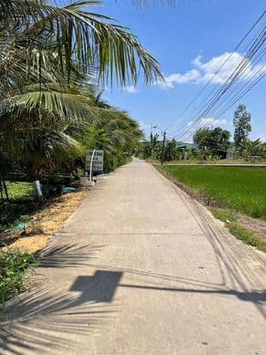đất đông thạnh cần giuộc 850 triệu