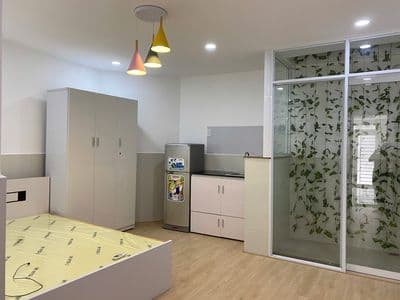 Bán Căn Hộ Dịch Vụ Hẽm Trần Đình Xu , Phường Nguyễn Cư Trinh Quận 1