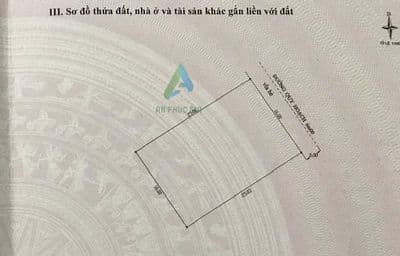 Cho thuê đất đảo xanh, 400m2 giá 35tr/tháng