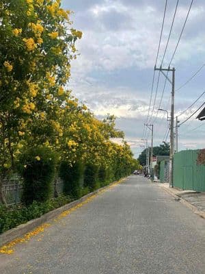 Cho Thuê Nhà Nguyên Căn Full NT - Hẻm Xe Hơi - TL37 - Gần Trường THĐ
