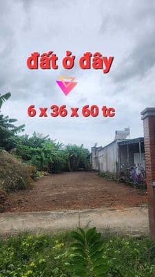 cần bán đất nền