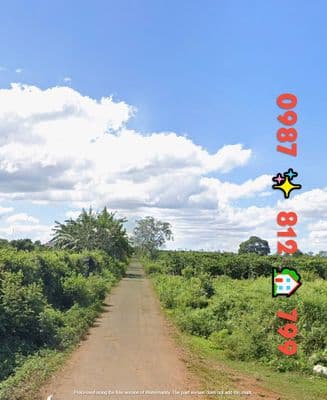 Kho bên em sẵn 200 lô đất đẹp pleiku 0987 812 799