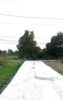 Bán Đất Trung Tâm Tại Tân An Giá Đầu Tư Cất Nhà