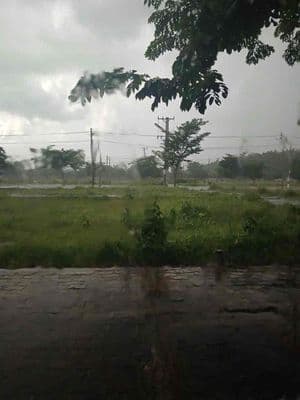 cần bán lô đất này