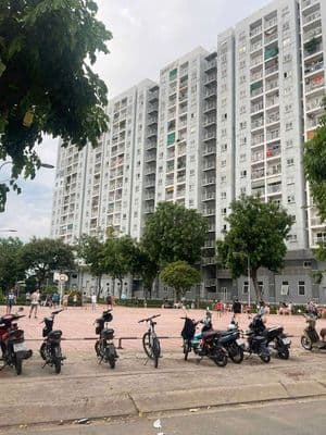Cho thuê căn hộ chung cư