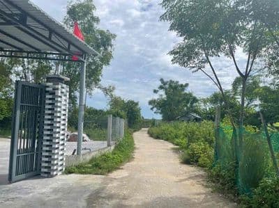 Đất quế mỹ quế sơn