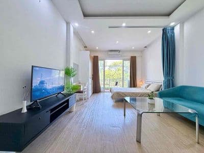Cho thuê căn hộ 1pn 40m2 mới 100% ban công - nguyễn thị minh khai q1