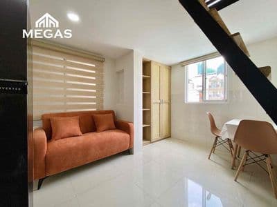 Duplex cửa sổ lớn kế go ntt, cầu pm, kcx, ufm, cầu tân thuận