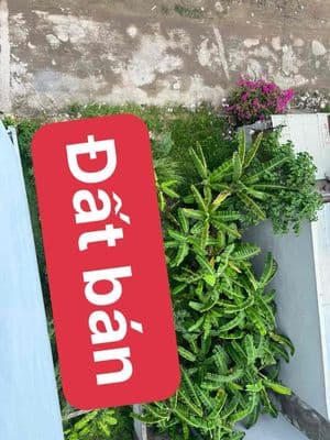 Đất mặt tiền đường số - giá trong hẻm 3.2 tỷ - 52m2 ( 4 x 13 )