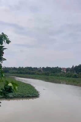 Bán đất 4000m2 view sông Thị Tính, An Điền, Bến Cát
