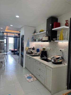 Rổ hàng căn hộ chung cư Topaz đủ tầng và full NT phù hợp ở 1-2 người