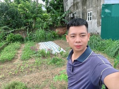Bán đất 83m2 Bắc Phú - Sóc Sơn, sổ đỏ sẵn sàng