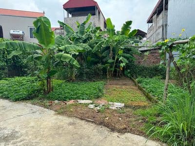 Bán đất 60m2 full thổ cư Bắc Phú, Sóc Sơn, giá nhỉnh 1 tỷ