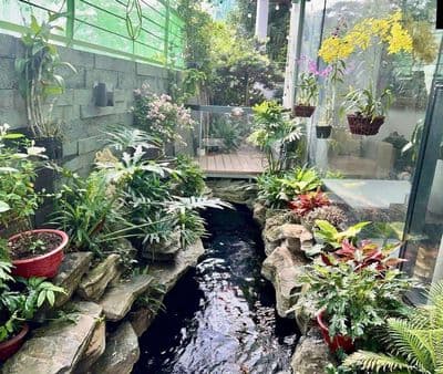 Q7.cho thuê biệt thự.vườn hồ bơi