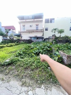 Bán 40m2 Đất Bến Trung Bắc Hồng, Ngõ Thông Ô Tô – Hiếm có khó tìm