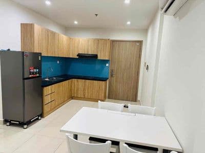 Bán căn hộ 2pn giá tốt thật 100% k ảo Vinhome grand park TPHCM