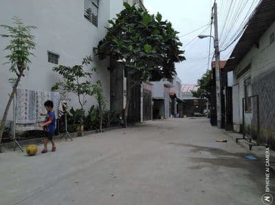 cho thuê căn hộ mini