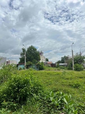 TĐC Tân Phong 1, Biên hoà cũ nay là phường Tân Triều