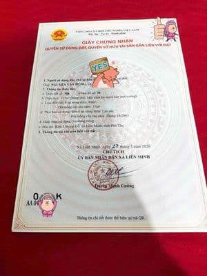 Em chính chủ bán lô đất 137m2 - 80m thổ cư - mt 7m - sâu 20m