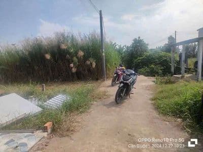 đất ở đô thị 590 triệu