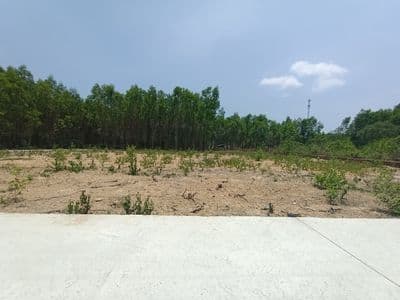Bán 167m2 thổ cư giá chỉ 1,65tỷ HXH cách Hùng Vương 150m