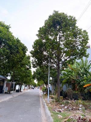 Bán đất khu phước sơn- phường 11- tp vũng tàu
