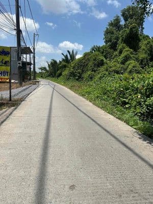 Bán đất ngay chợ đầu mối bình điền, kdc an phú tây, bình chánh