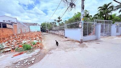 Lô góc hẻm xe hơi - ngay vành đai 2 -xd 5 tầng không lùi ngang 6m