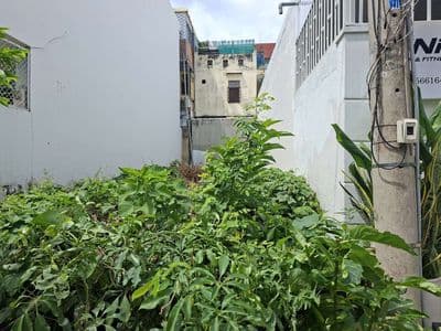 Cho thuê lô đất khu dân cư Hoàng Quốc Việt