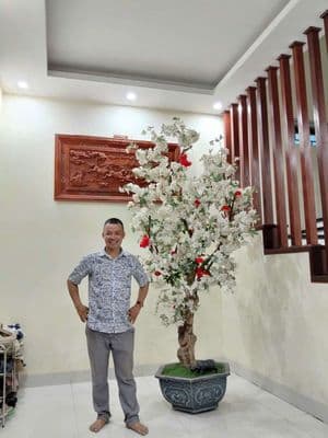 Biệt thự 3 tầng – chủ ngộp giảm sâu 4 tỷ – giá chốt 10 tỷ
