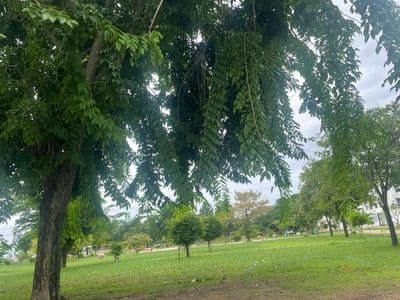 Đất Đặng Thùy Trâm 2 mặt tiền. Ngay công viên, view Sông. DT 6X20M