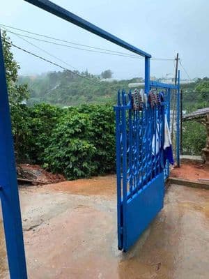 Cần cho thuê nhà đường an sơn