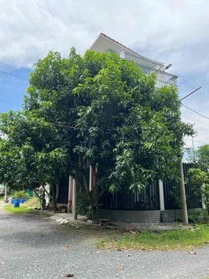 Cho thuê biệt thự Long Trường tp Thủ Đức