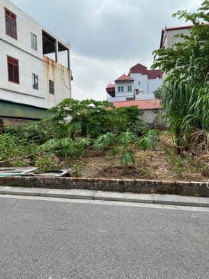 Bán đất mặt tiền 44m2 Đầm Vân Nội, Đông Anh, Hà Nội
