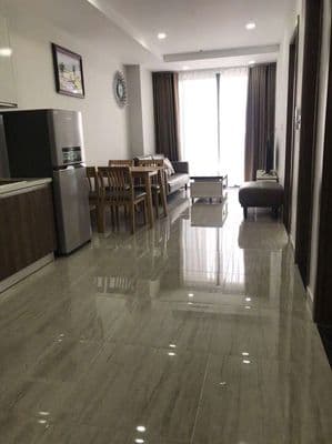 Biconsi tower 2 phòng ngủ full nội thất