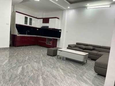 Cho thuê nhà Đào Tấn - 45m² - 3PN vị trí siêu đẹp chỉ 12 triệu/tháng