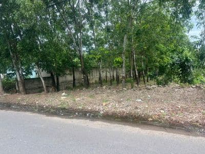Bán đất nền 700m2 Tân Định, Bến Cát, Bình Dương