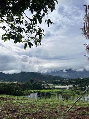 Đất View Săn Mây Nằm Giữa Khu Dân Cư Tại NAM BAN