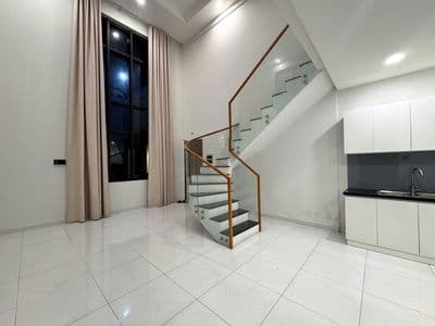 Cho thuê Duplex pegasuite 2- 95m2 3PN 2WC- 14 củ/ tháng