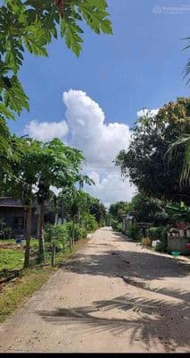 Bán đất Bàu Bàng