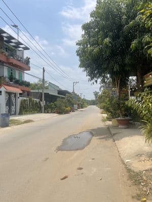 Bán nhà đất có vườn cây ăn trái